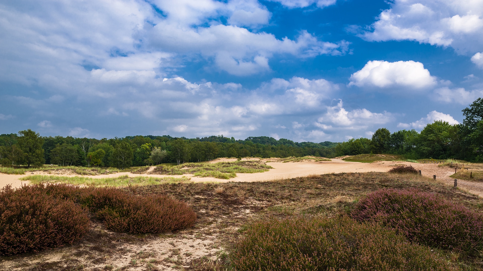 Boberg dunes