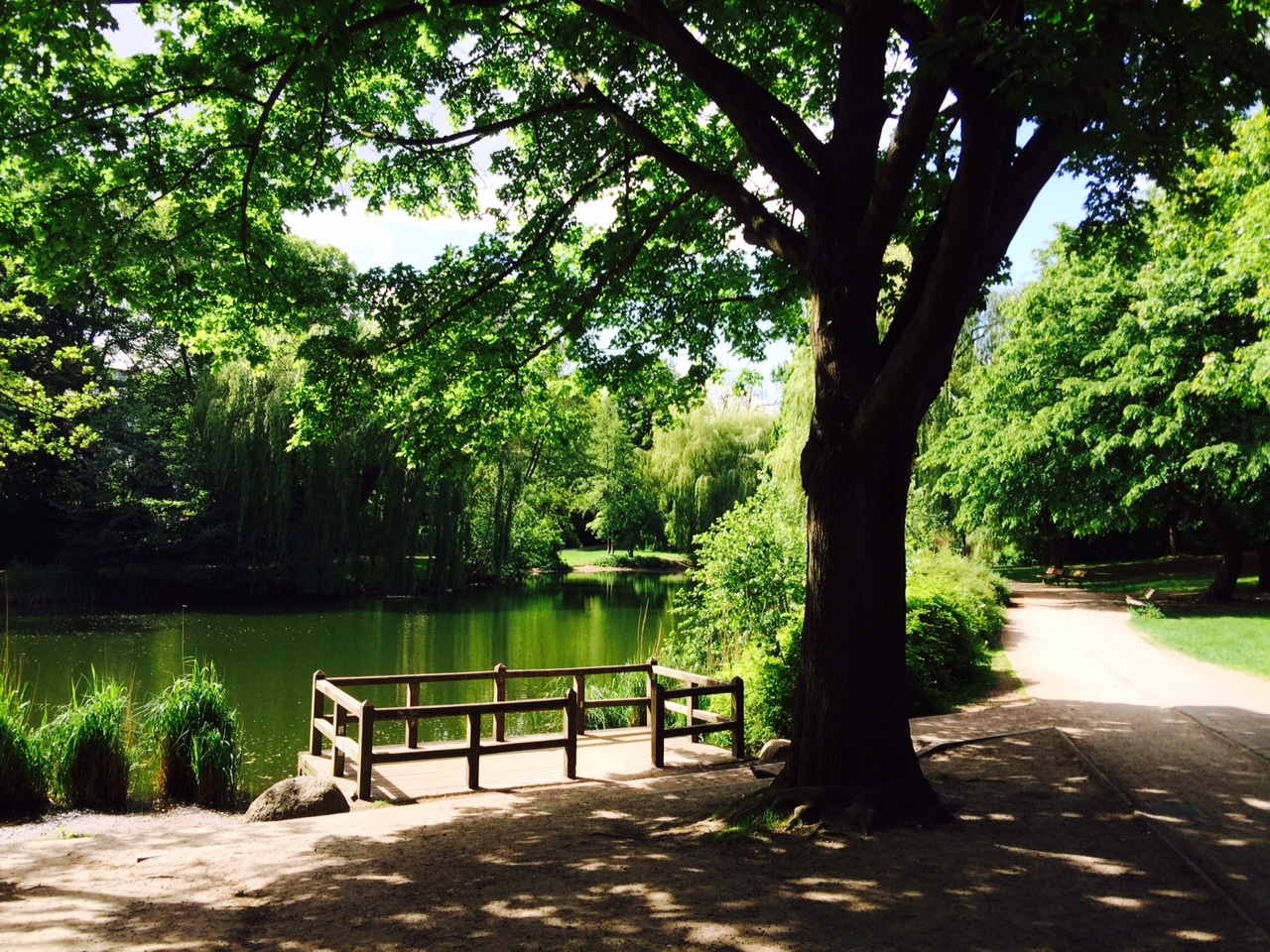 Park am Weiher - Eimsbüttel