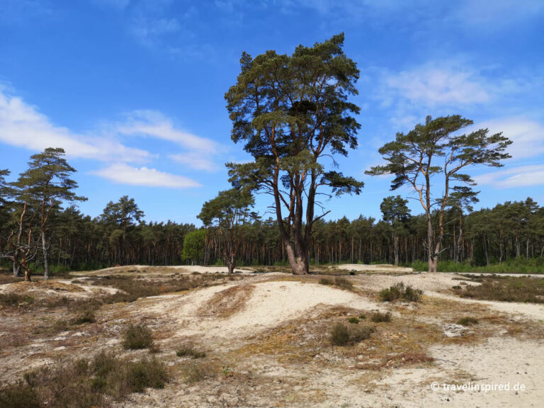 Holmer Sandberge 🔦 Die Perfekte Idee zum entspannten Cruisen