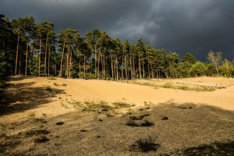 Sandgrube im Jagen 86 ⛱️ Die Gay Cruising Area im Grunewald Sandgrube im Jagen 86 ⛱️ Die Gay Cruising Area im Grunewald