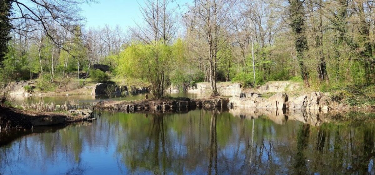 Lac de Möhlau ? La zone de croisière gay de Gräfenhainichen