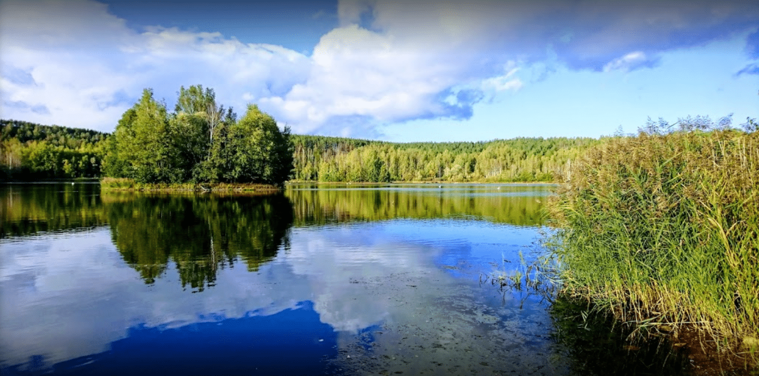 Sandgrube Biesern