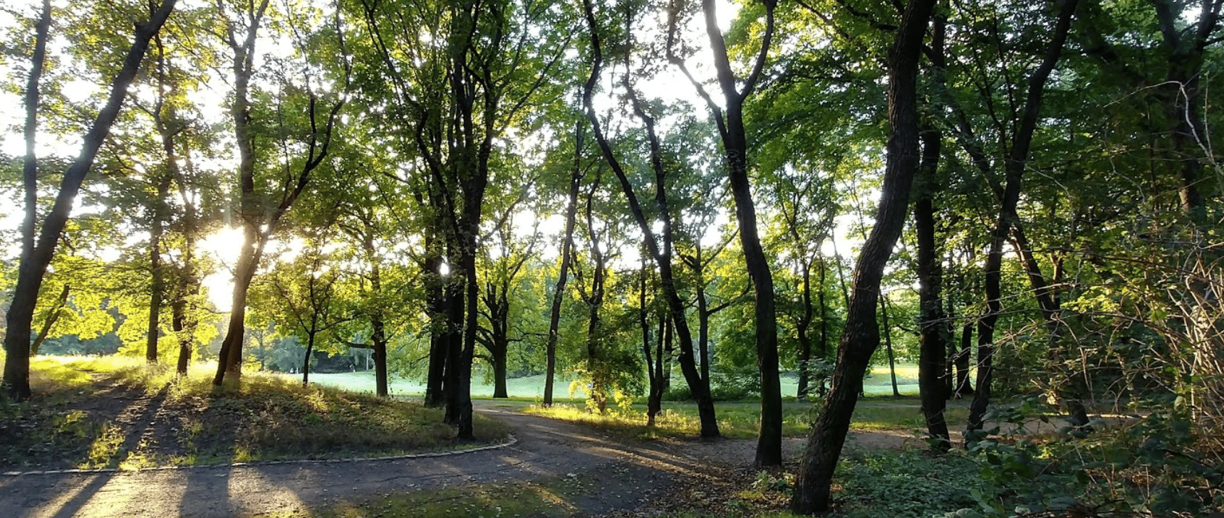 Schillerpark