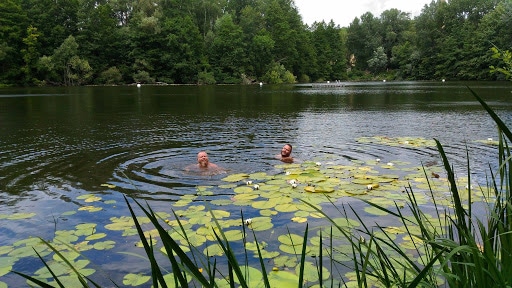 Teufelssee im Grunewald