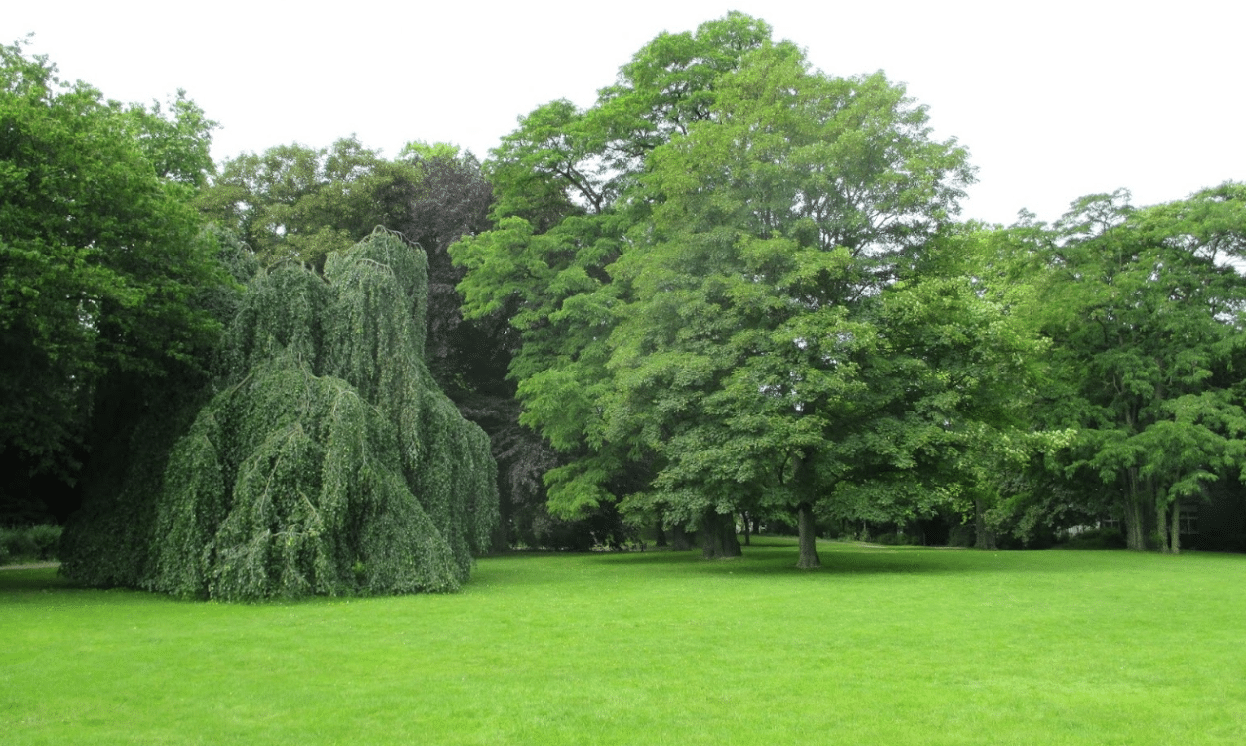 Hanielpark Düsseldorf