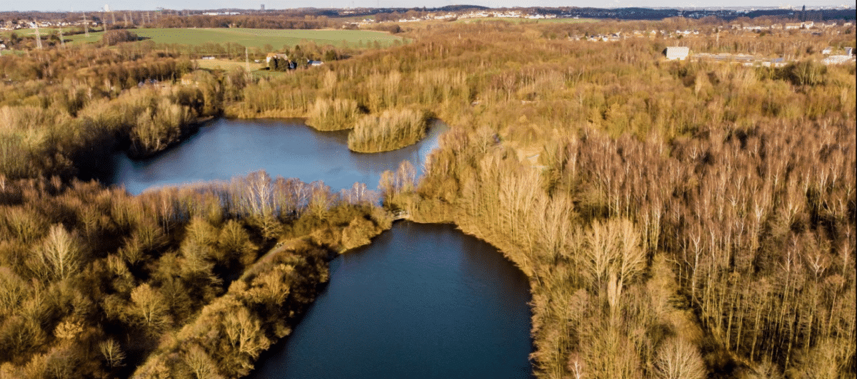 Harpener Teich 🌊 Der Wunderschöne Gay Cruising Platz bei Bochum