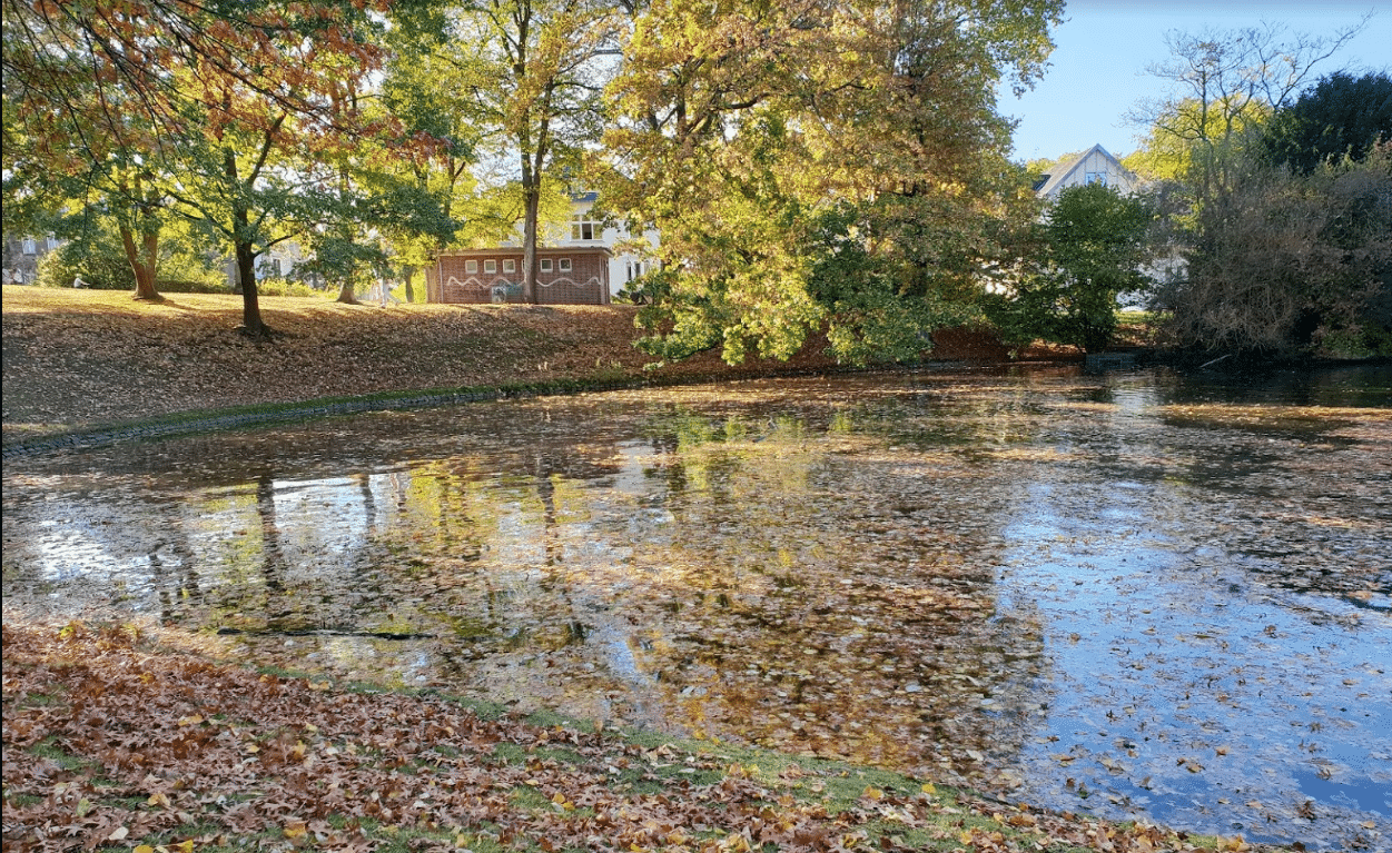 Klappe am Stadtpark