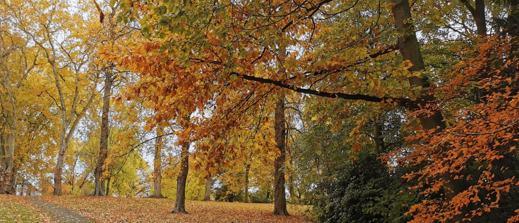 Kortumpark Bochum