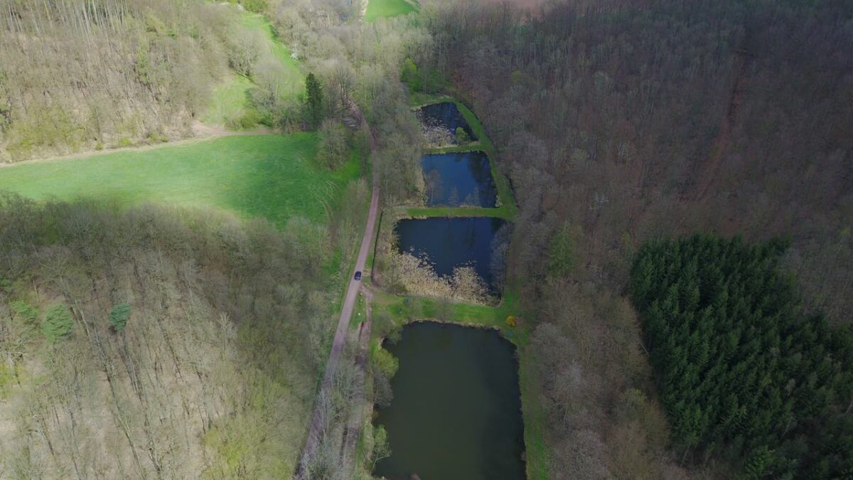 Stedtfeld At the ponds ? The gay cruising area in Eisenach