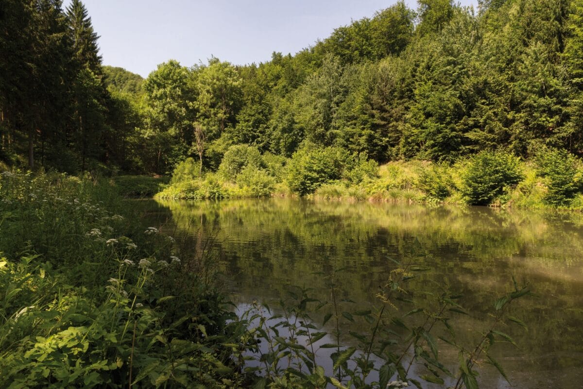 Stedtfeld An den Teichen (2)