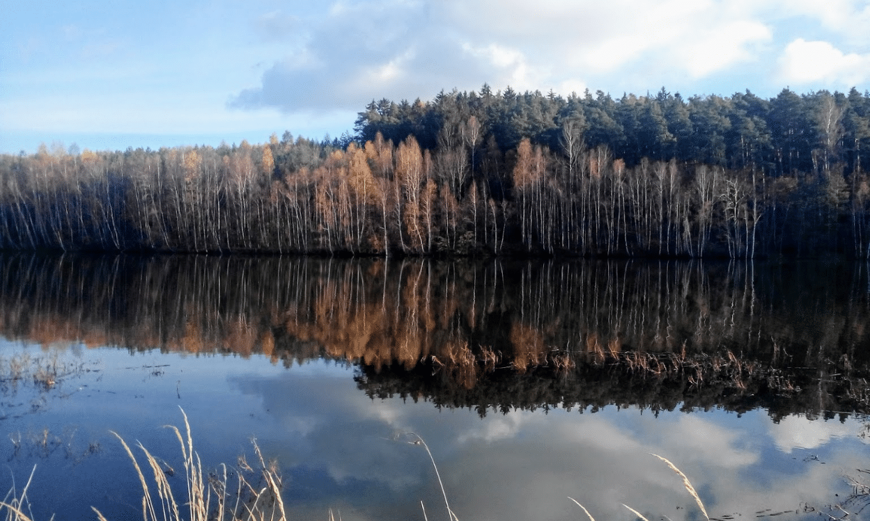 Speicher Schöna