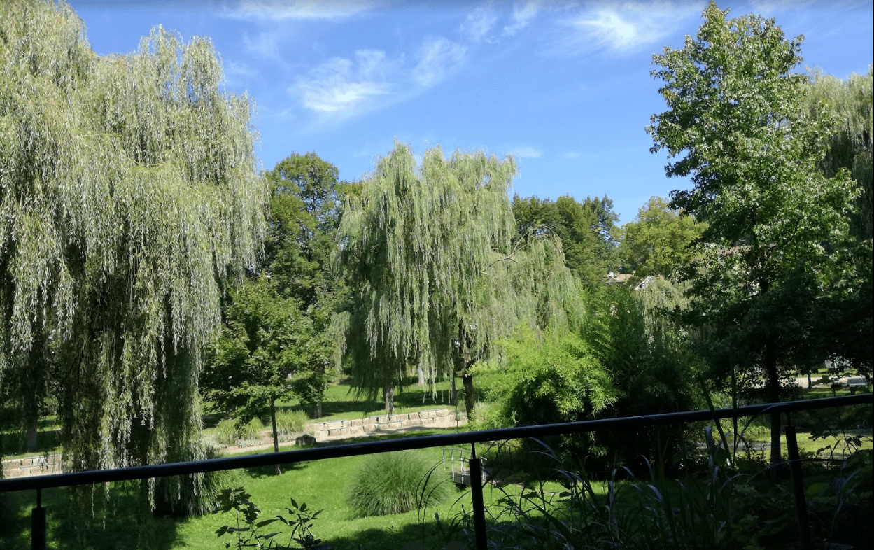 Stadtpark Saarbrücken