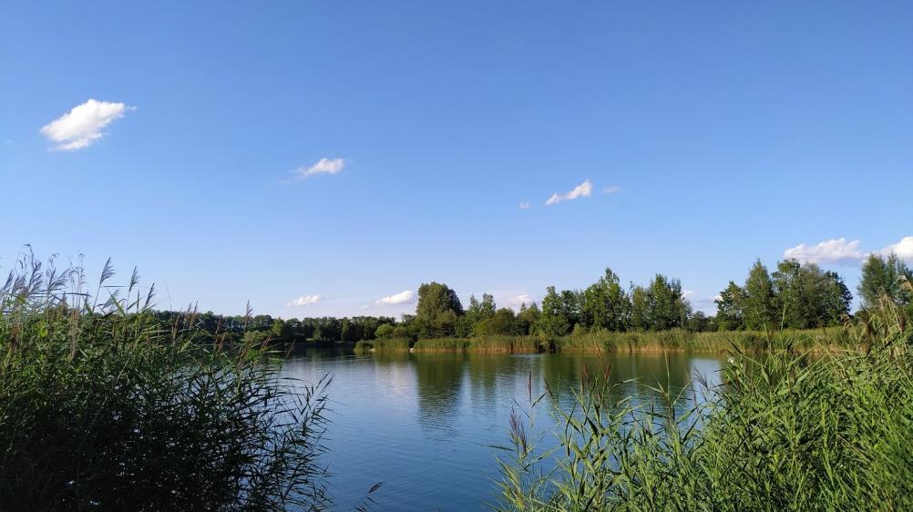 Erdbeersee