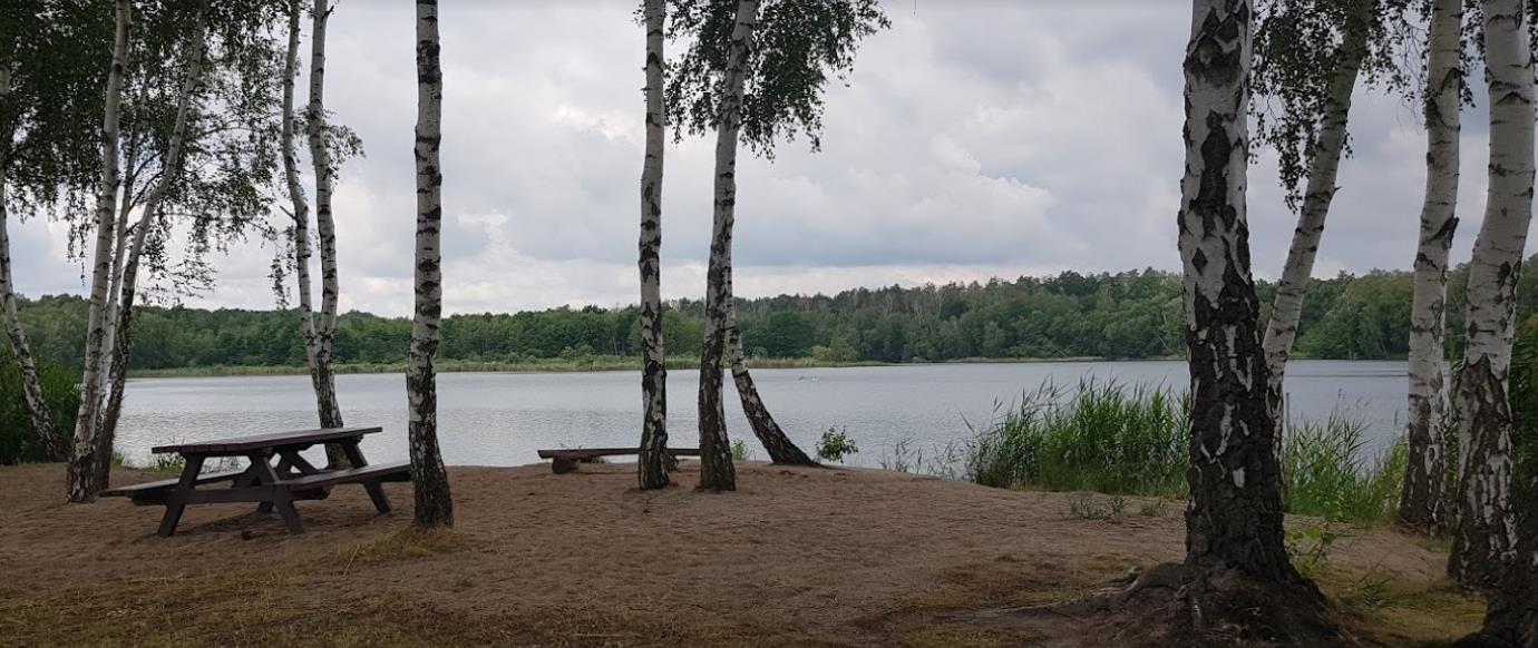 Parkplatz am Bergwitzsee