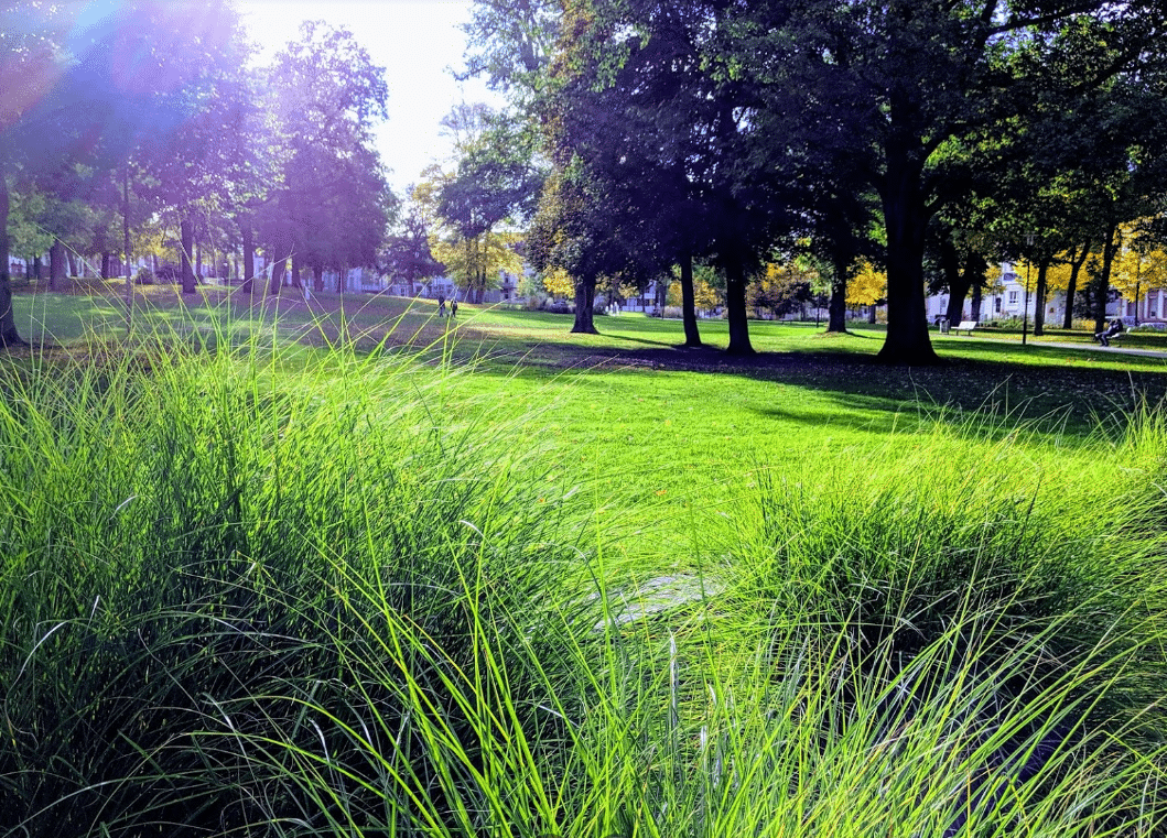Stadtpark Kaiserslautern