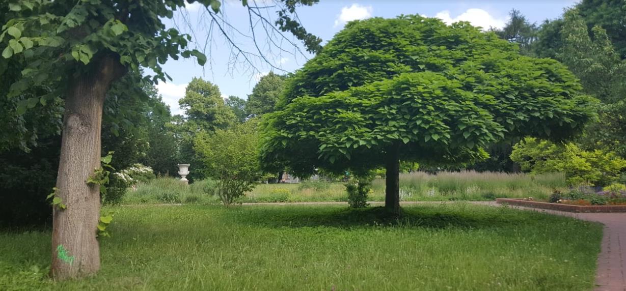 Stadtpark Nürnberg