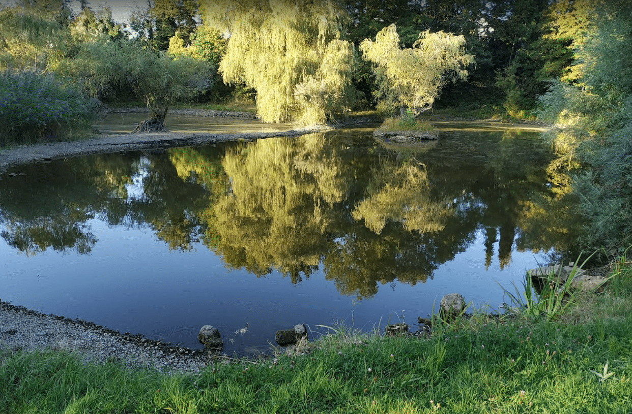 Villinger Park