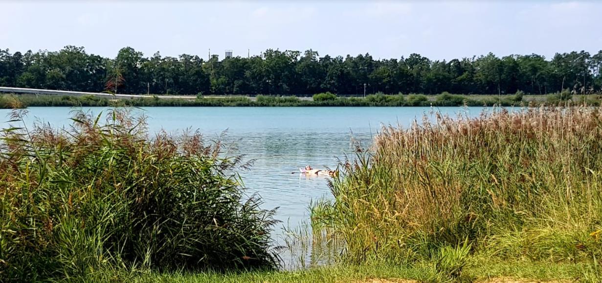 Baggersee Schlierferhaide