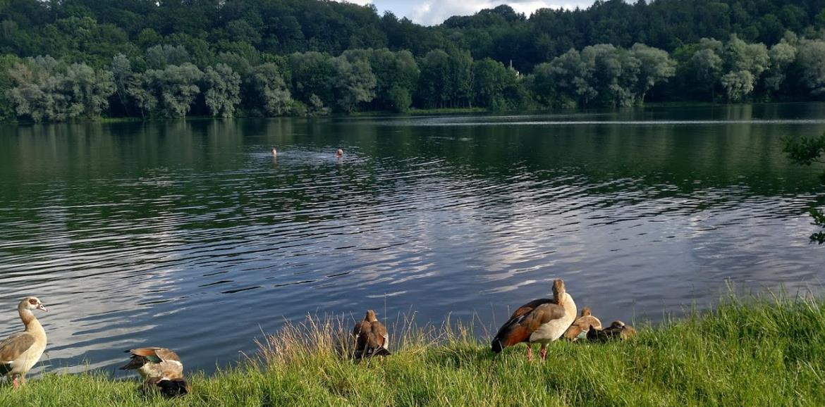 Kirchentellinsfurter Baggersee