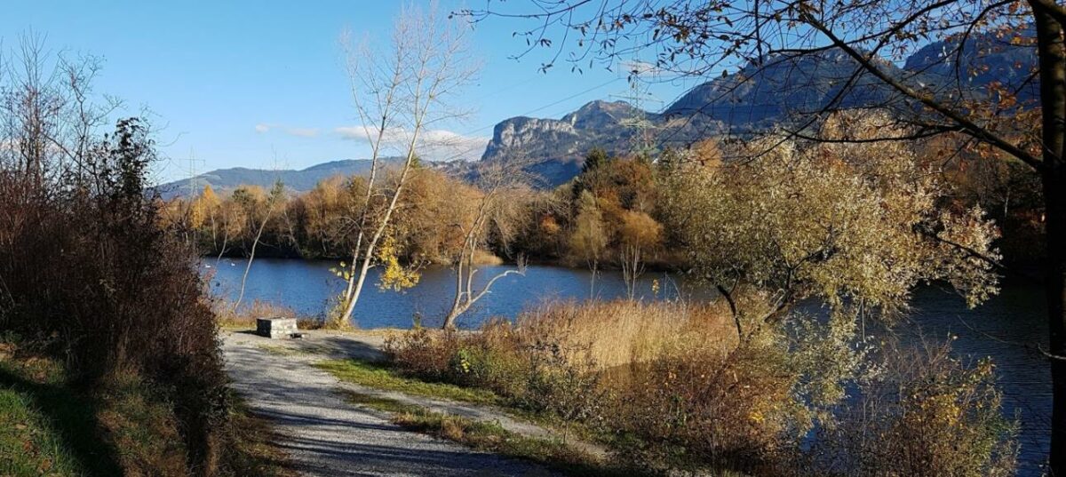 Alter Rhein 🌊 Die wunderbare Gay Cruising Area in Dornbirn