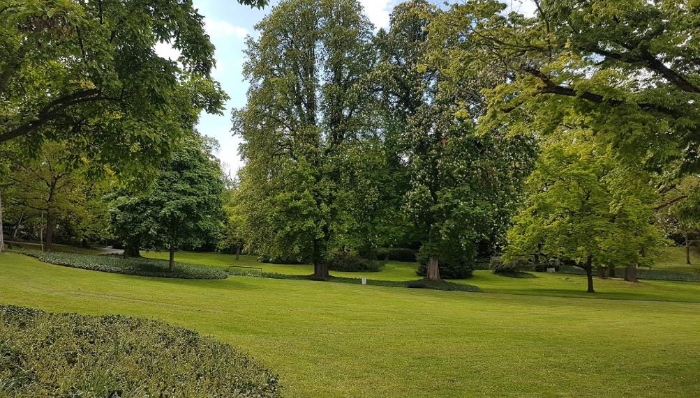 Der Stadtpark von Mainz