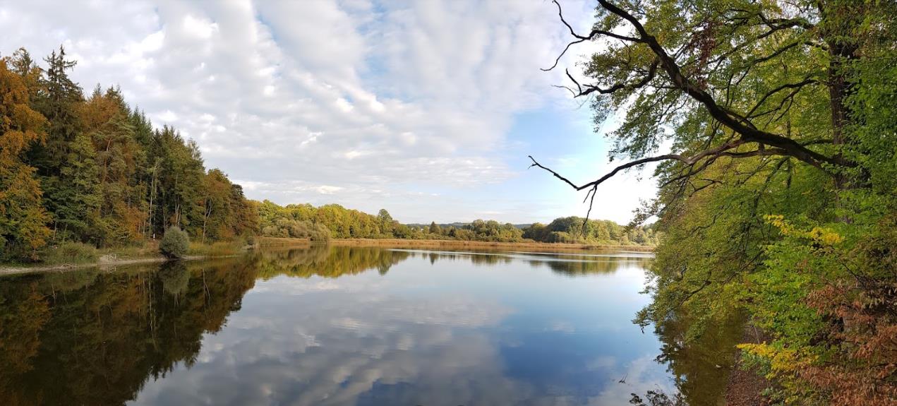 Rößlerweiher