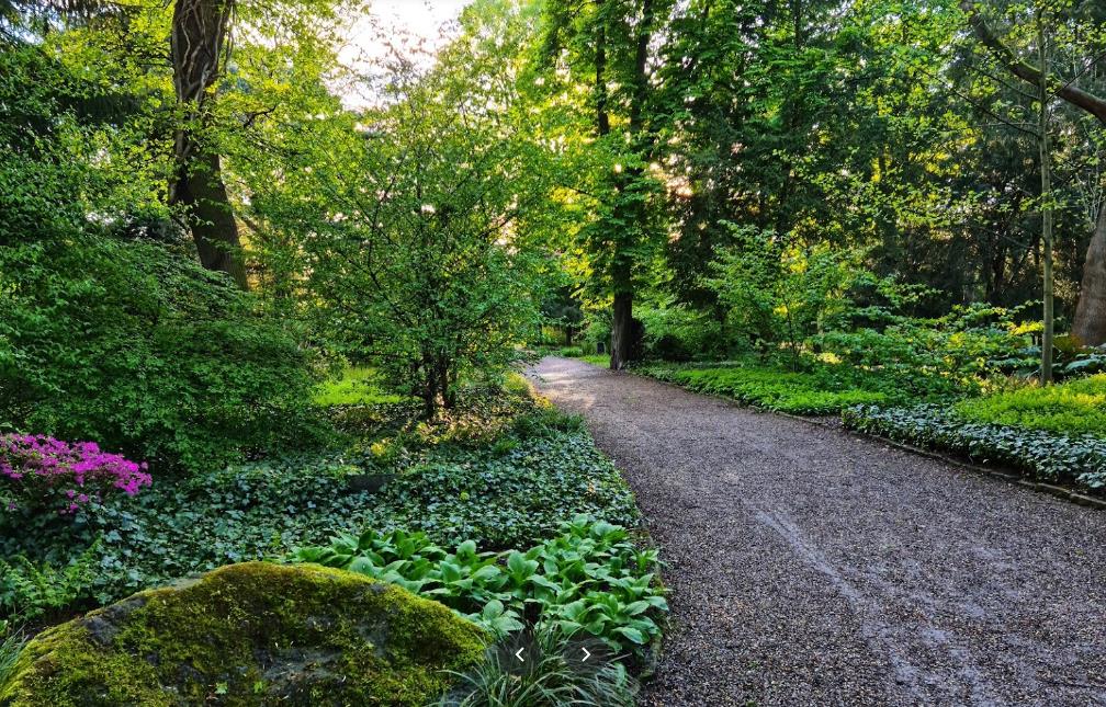 Botanischer Garten