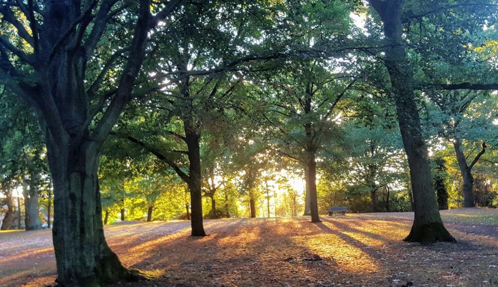 Lützeler Volkspark