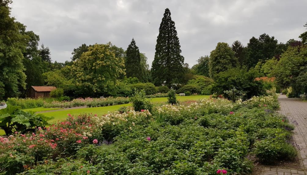 Schlossgarten Oldenburg