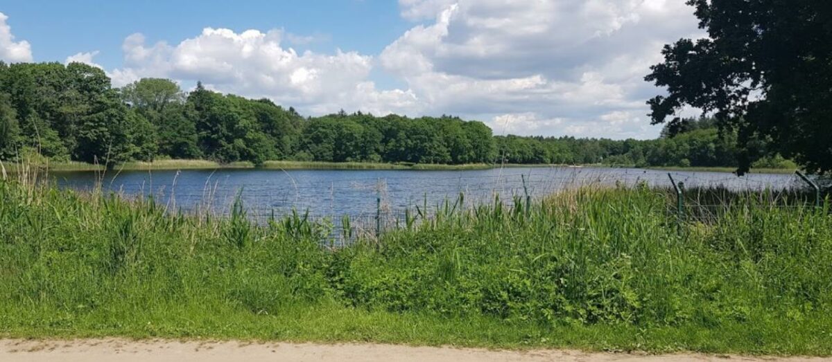 Bredenbeker Teich ? Der wundervolle Cruising Badesee in Hamburg