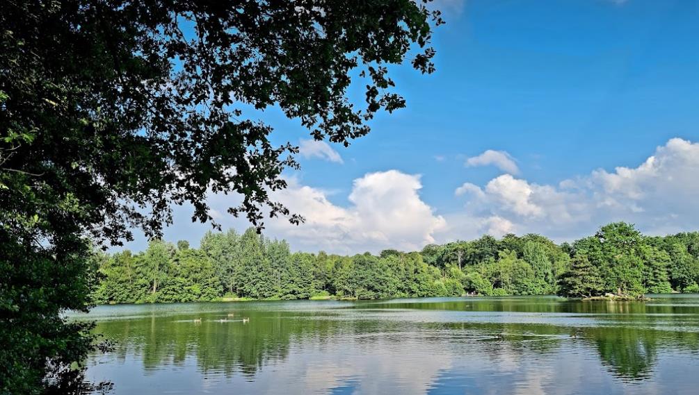 Rotbachsee