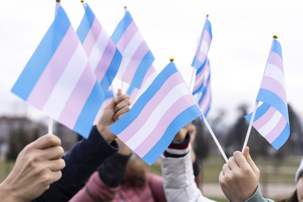 Ergebnis zur Umfrage von Transsexuellen Rechten